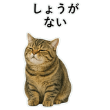 852787173