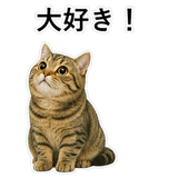 852787174