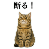 852787175