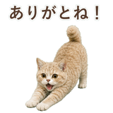 852787177