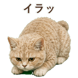 852787178