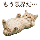 852787181