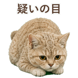 852787187