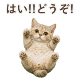 852787189