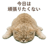 852787190