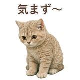852787192