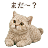 852787204