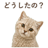 852787206