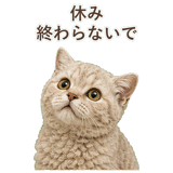 852787209