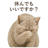 852787213