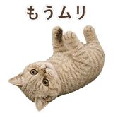 852787214