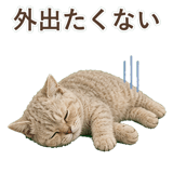 852787215