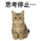 852787498