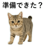 852787508
