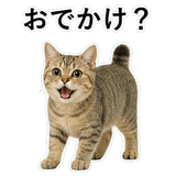 852787509