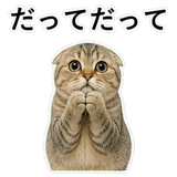 852787511