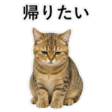 852787521