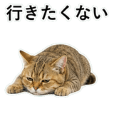 852787522