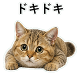 852787530
