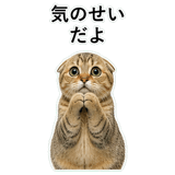 852787531