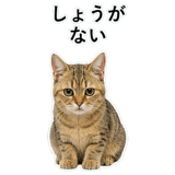 852787533