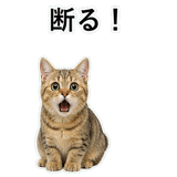 852787535