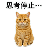 852787554