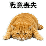 852787555