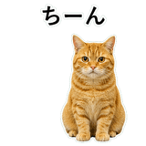 852787557