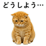 852787559