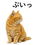 852787560