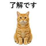 852787562