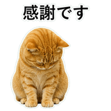 852787563