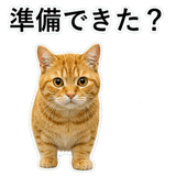 852787564