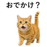 852787565
