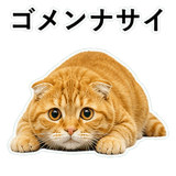 852787566