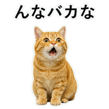 852787571