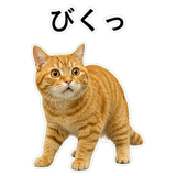 852787572
