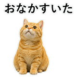 852787575