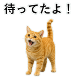 852787576