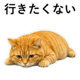852787578