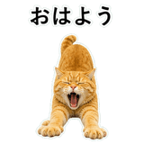 852787580