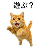 852787585