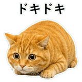 852787586