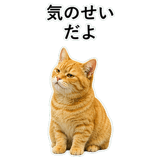 852787587