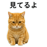 852787588