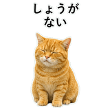 852787589