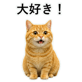 852787590