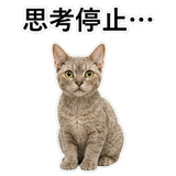 852787642