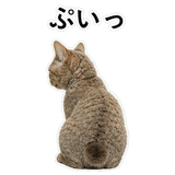 852787648